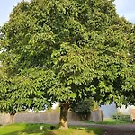 La Juliette L'etoile Filante Dom wakacyjny