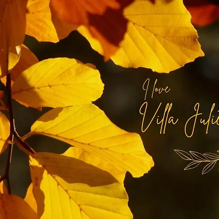 La Juliette L'etoile Filante Casa de Férias *