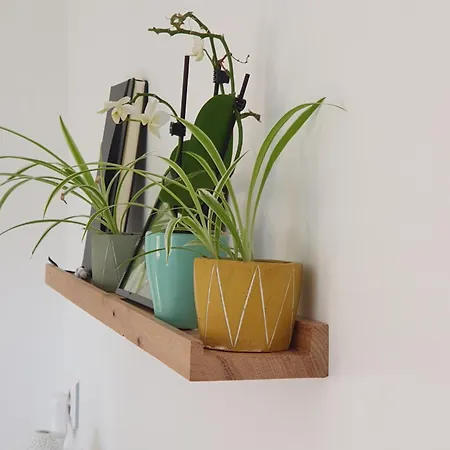 La Juliette L'etoile Filante * Biville-sur-Mer